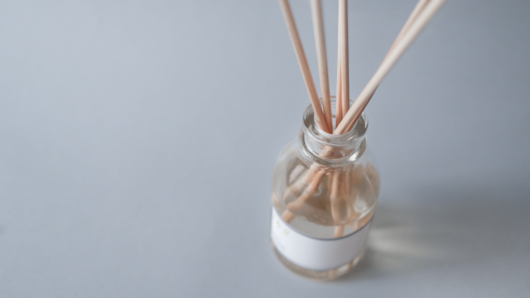 forest / reed diffuser 100ml & 200ml // this series