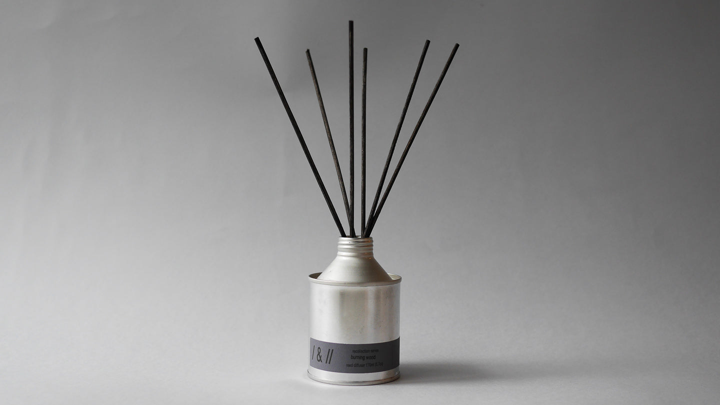 all reed diffusers – s/ash & para//el